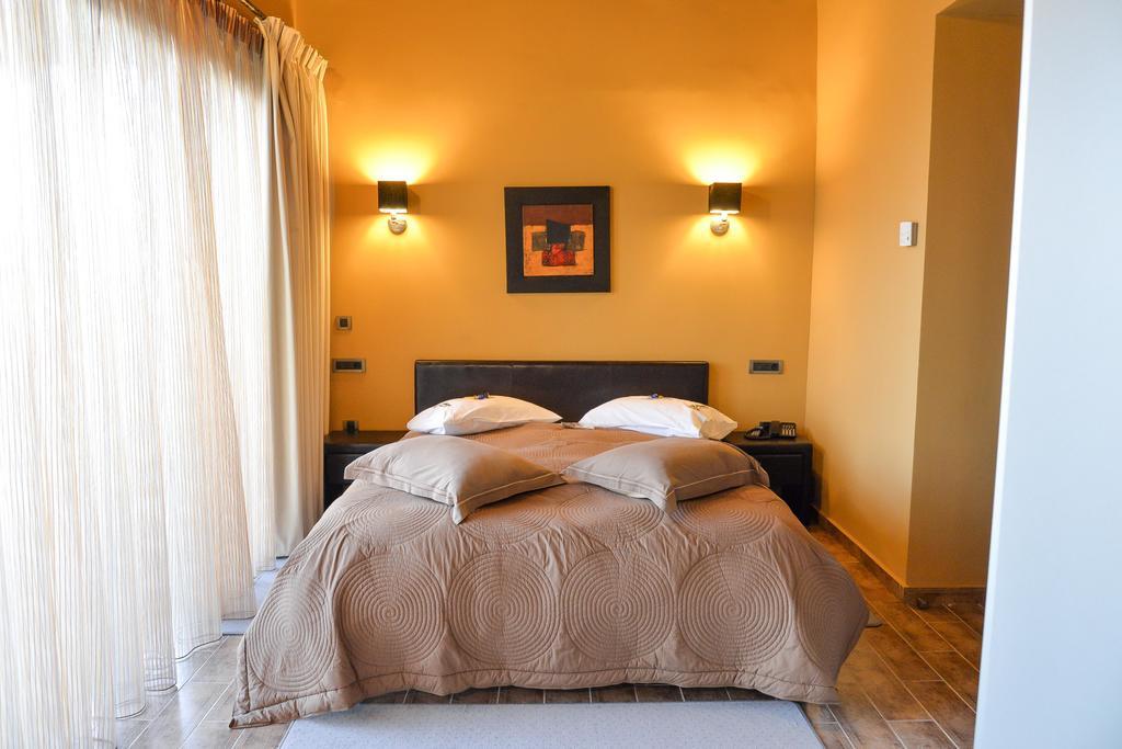 Vathyskia Guesthouse Kato Sinikia Trikalon Room photo